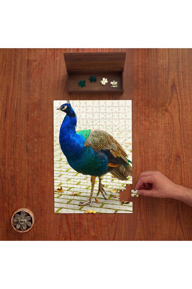 Colorful Peacock Design 240 Piece Wooden Puzzle in Wooden Box Pd00164