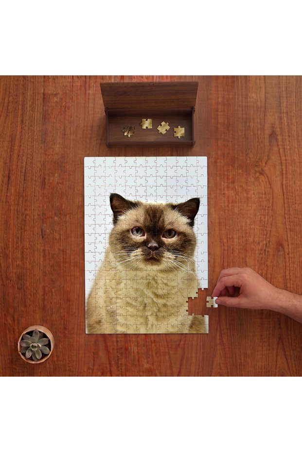 Cute Cat Close-Up Design 240 Piece Wooden Puzzle in Wooden Box Pd00383