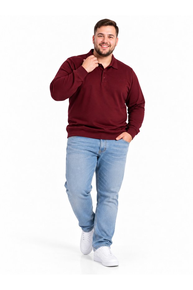 Plus Size Polo Neck Men's Sweatshirt