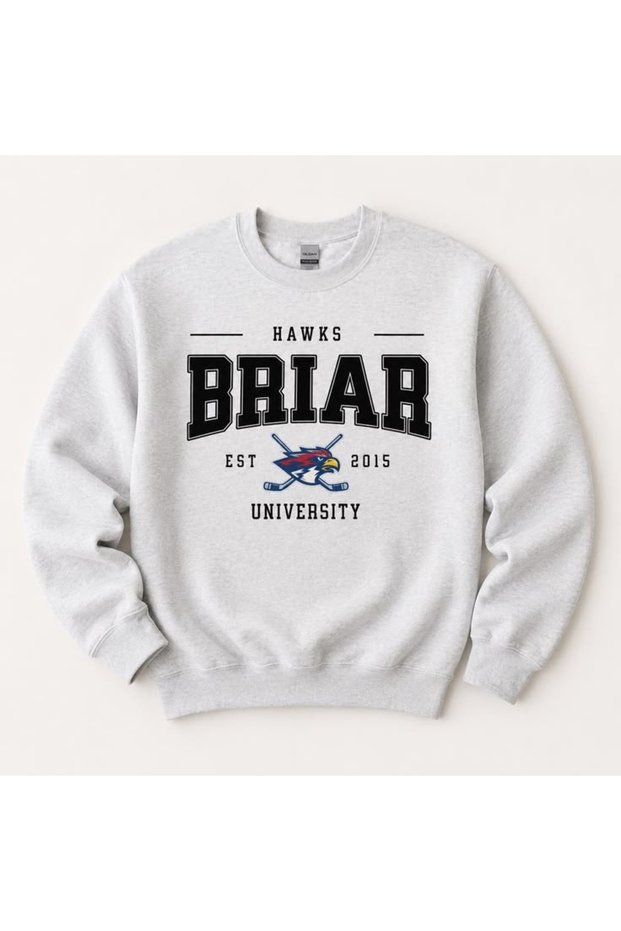 Briar Hockey Off Campus Printed Cotton 3 Thread Threaded Crew Neck Oversize Sweatshirt