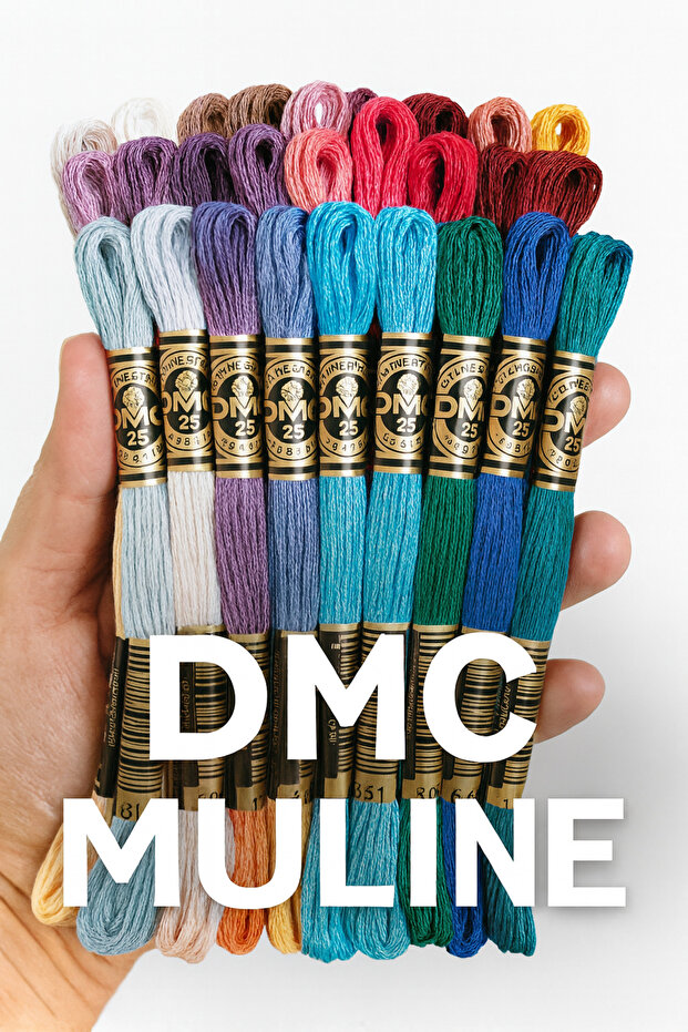30X40 Goblen Yan Product 24 Pieces Dmc Muline