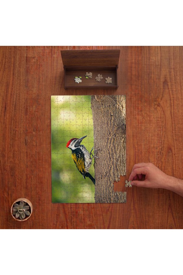 Red Haired Woodpecker Design 240 Piece Wooden Puzzle in Wooden Box Pd01444