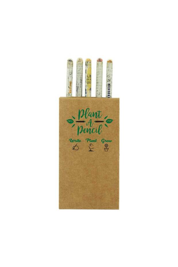 Plantable A Pencils Set