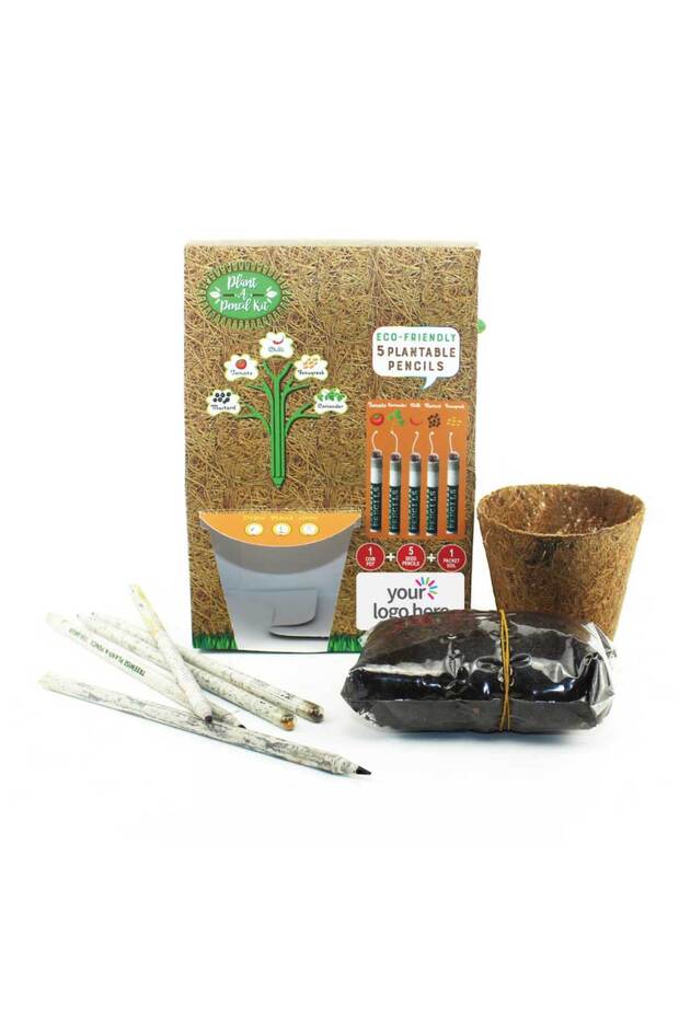 Plant A Pencil Kit