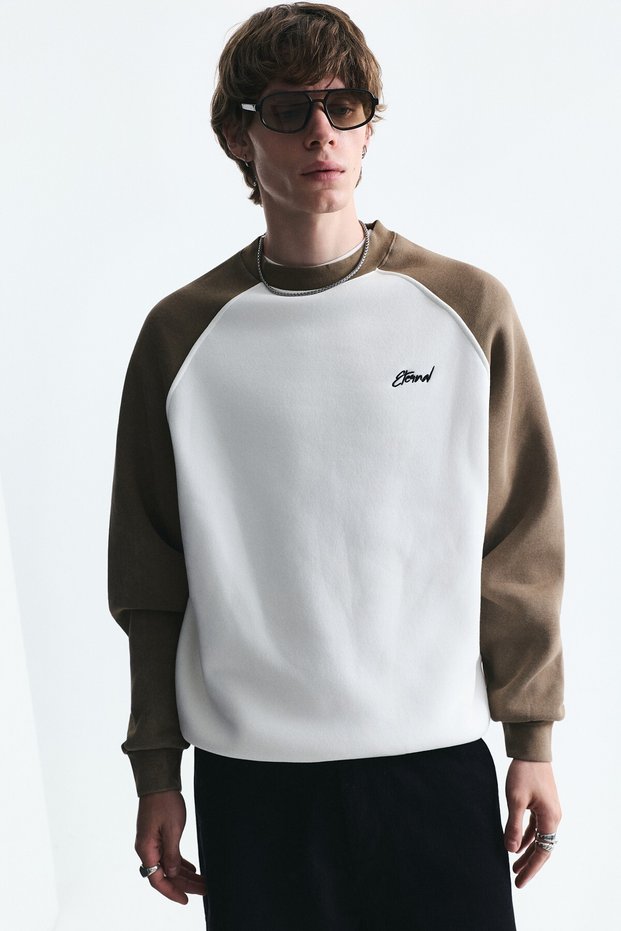 Color Block Crew Neck Sweatshirt