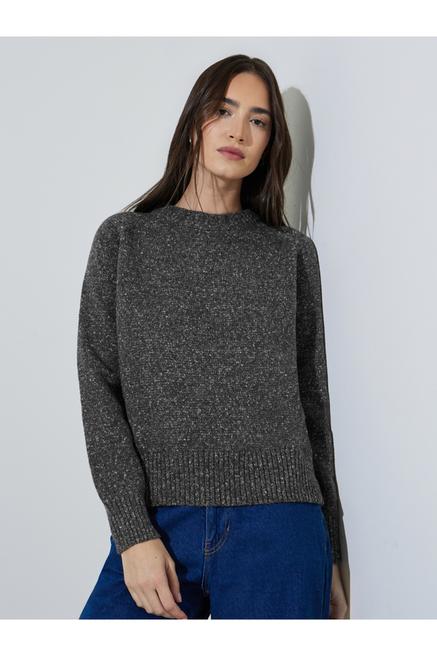 Grey Round Neck Long Sleeves Regular Fit Sweater