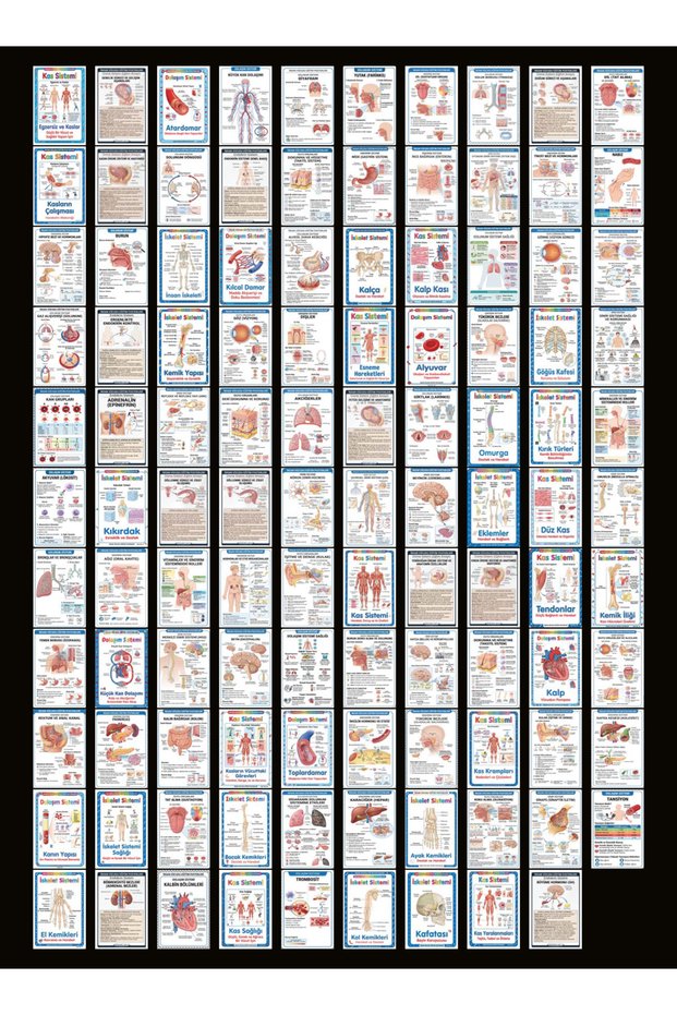 Human Body Themed Postcard Set (10X15 cm 109 Pieces)