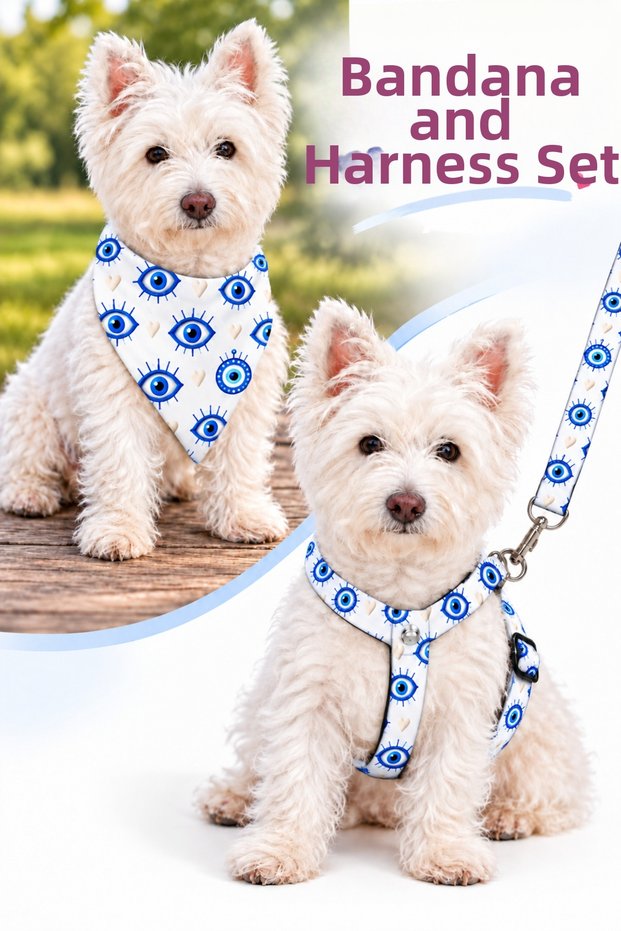 Adjustable Scarf, Chest Harness and Travel Strap Set of 3