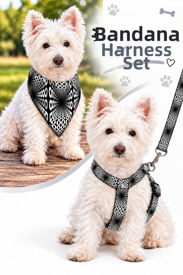 Adjustable Scarf, Chest Harness and Travel Strap Set of 3