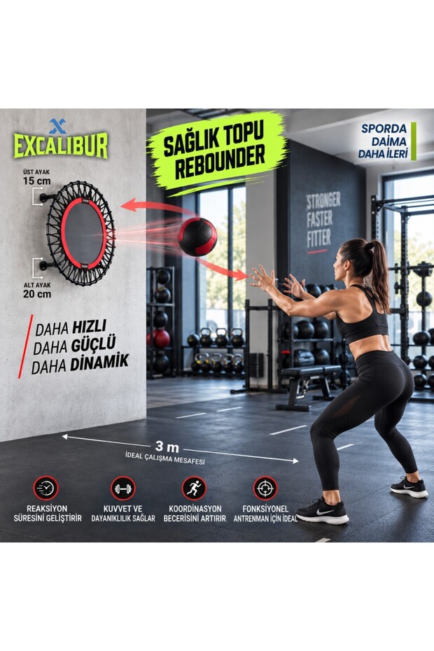 Wall Mounted Health Ball Rebounder