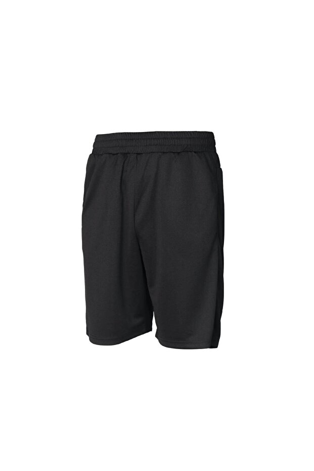 Hmlt-Te Flex Mesh Shorts Men's Shorts