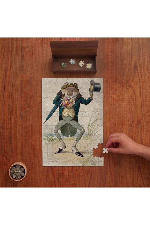 Suitable for Suit-Designing Frog 240 Piece Wooden Puzzle in Wooden Box Pd01045