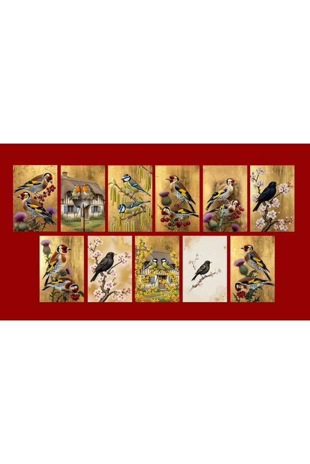 Bird Themed Postcard Set (10X15 cm 11 Pieces)