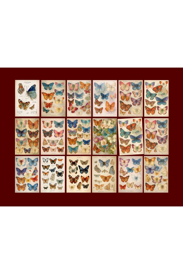 Butterfly Themed Postcard Set (10X15 cm 18 Pieces)