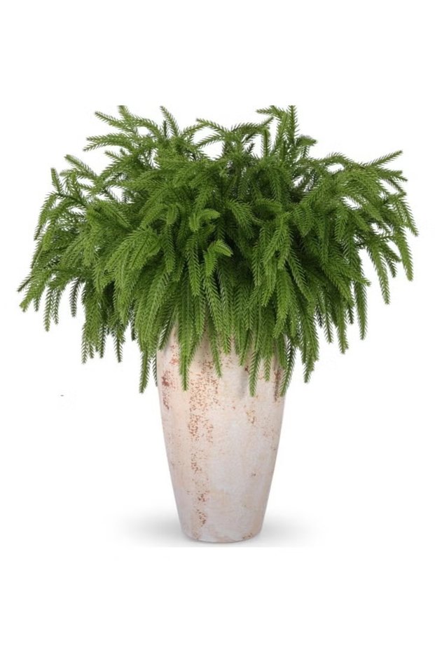 6Pcs Artificial Norfolk Pine Branches, Faux Norfolk Pine Stems DIY Crafts Faux Christmas Norfolk Pine Branches for Xmas Indoor Outdoor Home Decor