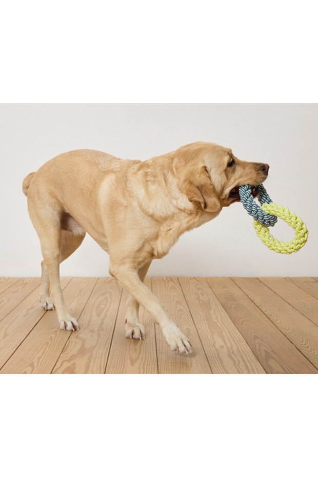 Dog Toy, Rope