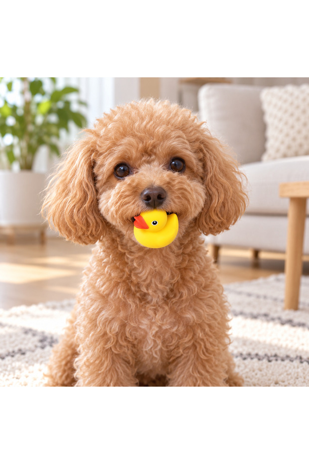 Bath Yellow Duck Dog Toy