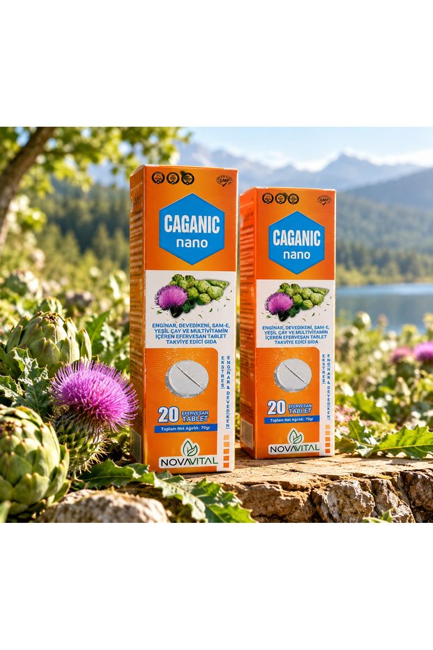 cananıc nano 20 efervasan tablet 2 kutu
