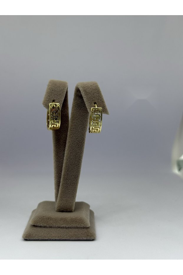 Gold cm Earrings