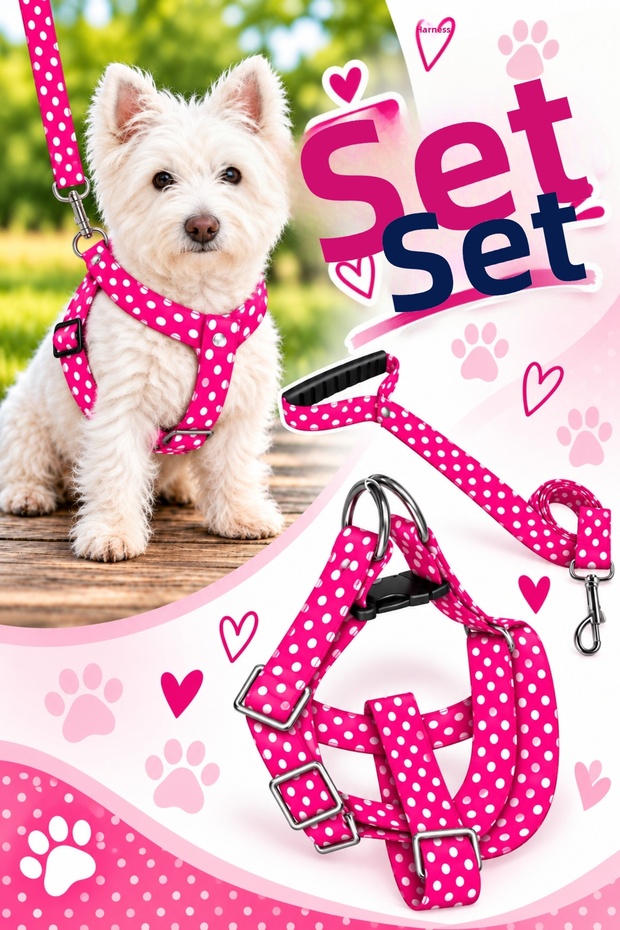 Dog Chest Harness and Walking Strap Set