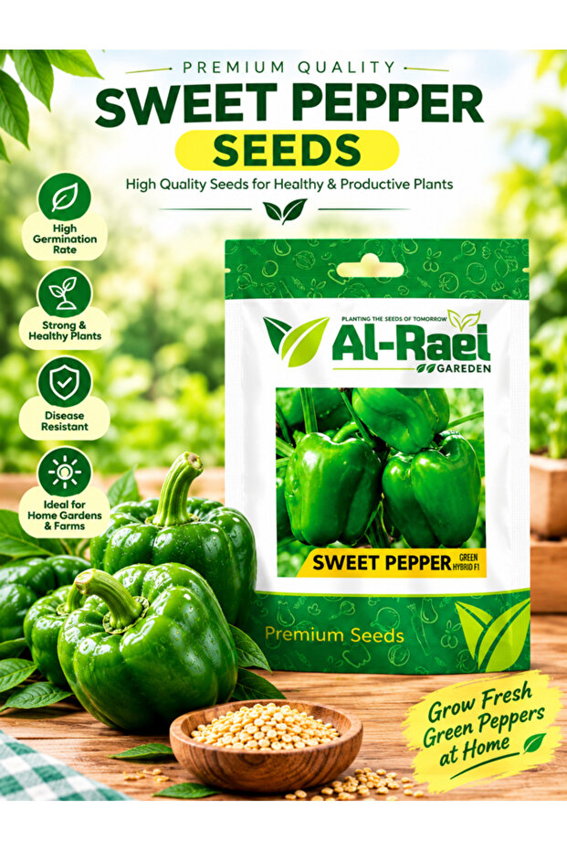 Al-Raei Premium Sweet Pepper (Green Bell Pepper) Hybrid F1 Seeds, High Yield, Non-GMO