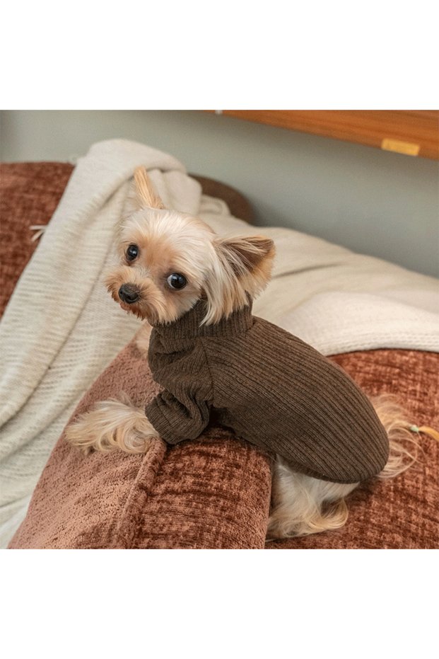 M(3-4KG) Coffee color Autumn and winter dog casual simple solid color pullover sweater for small and