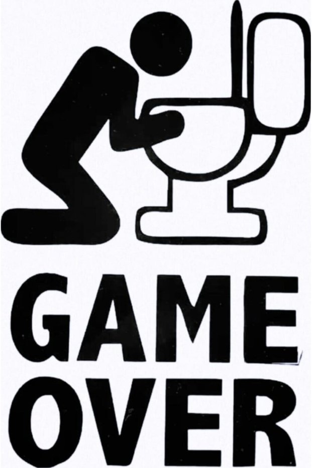 Game over Auto Motorcycle Laptop Wall Foil Sticker 10 X 15 cm Miss-774