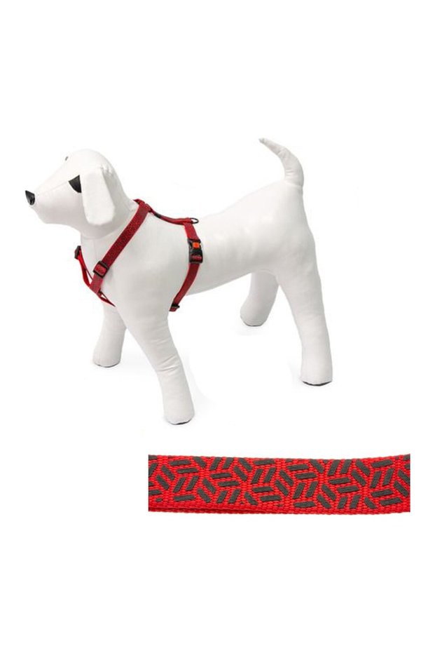 Muratech Art Sp.Plus Ayarl. Dog Collar 45-70cm 20mm