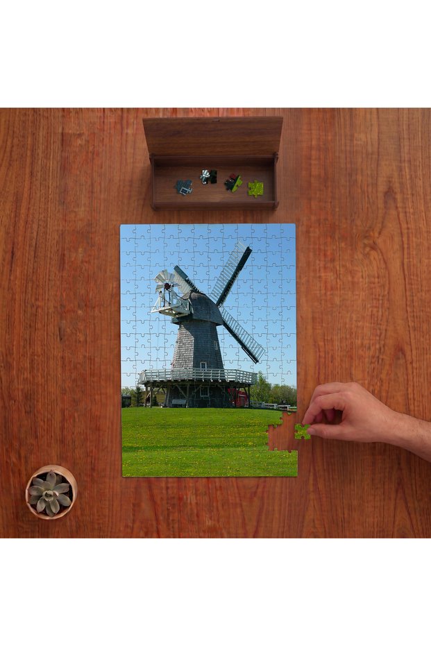 Energy Mill Design 240 Piece Wooden Puzzle in Wooden Box Pd00622
