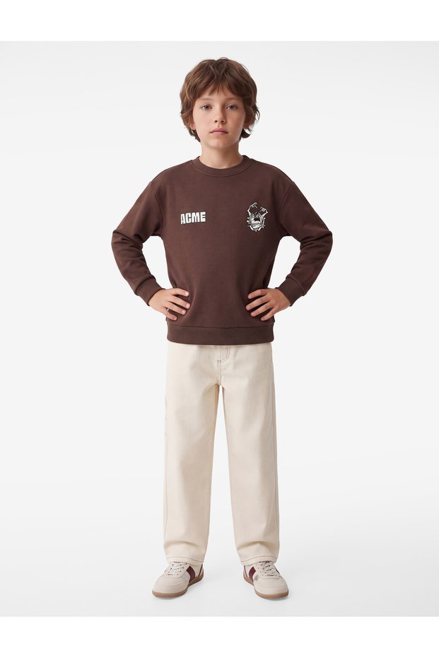 Long Sleeve Crew Neck Licensed Sweatshirt with Tasmanian Devil Print on the Back