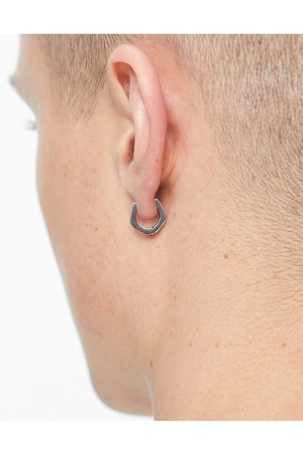 Earrings, silver