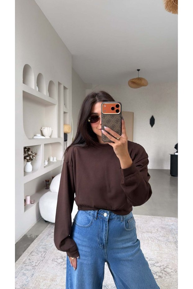 Brown Crew Neck Crop Modal Basic Sweatshirt