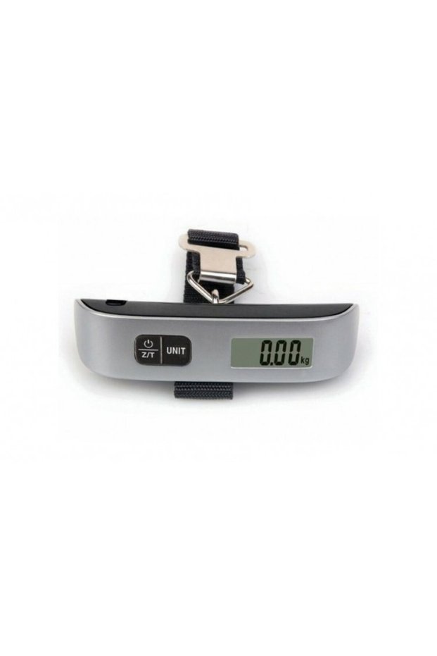 Portable electronic hand scale with temperature display