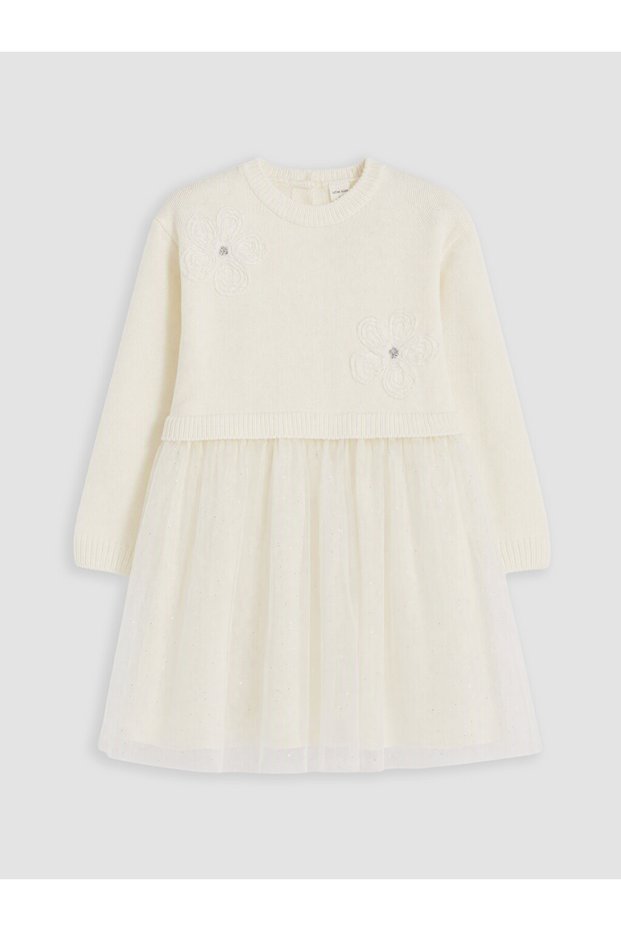 Crew Neck Girl's Tutu Dress