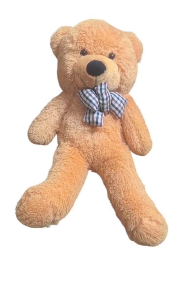 Brown Teddy Bear Style with Ribbon 60cm 0.8kg