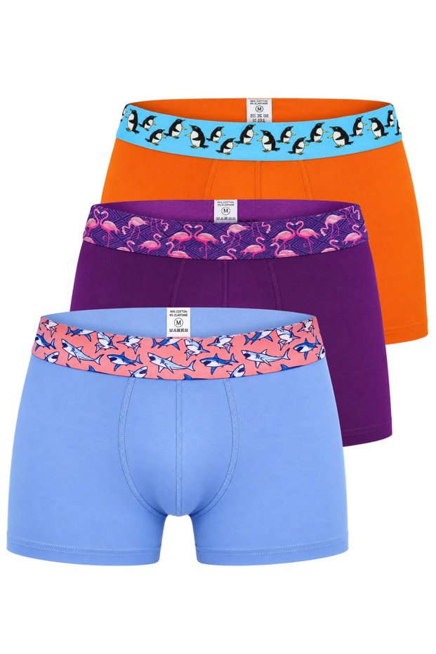 Cotton Lycra Flexible Fabric Printed Colorful Patterned Set of 3 Men's Boxers