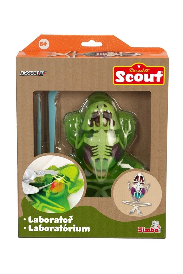 Set educațional: Secțiunea Descoperirea Broaștei