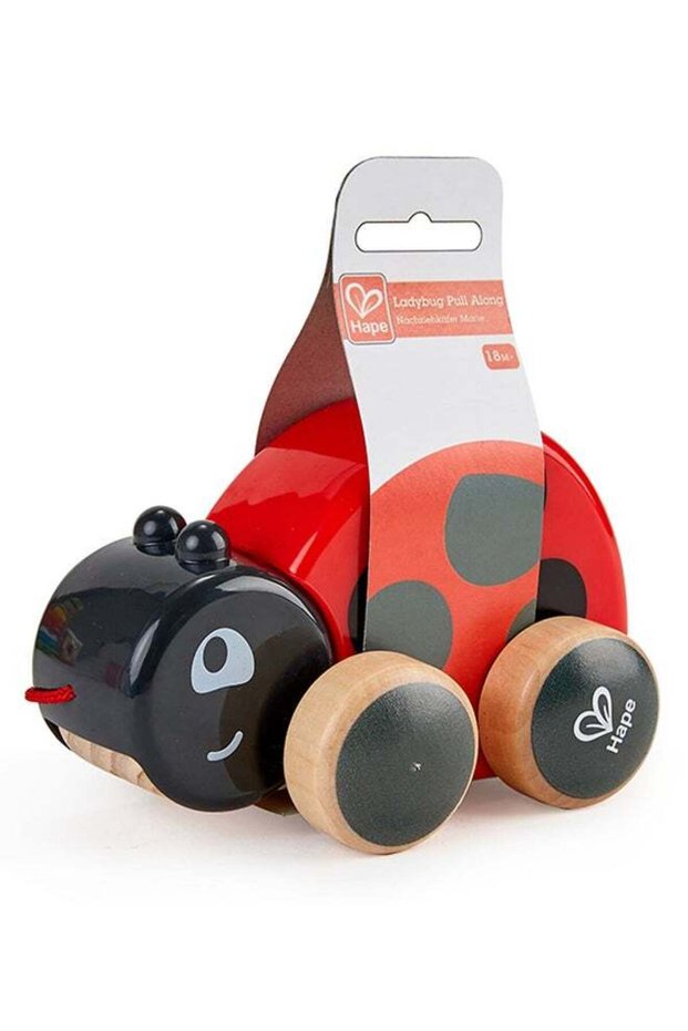 Ladybug Pull-Along Toy for Toddlers | Wooden Push & Pull Animal Toy with Flapping Wings | Interacti