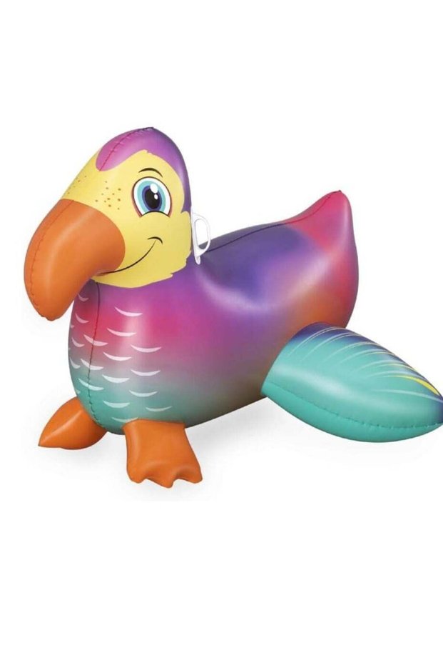 Rider Dandy Dodo 141X113cm