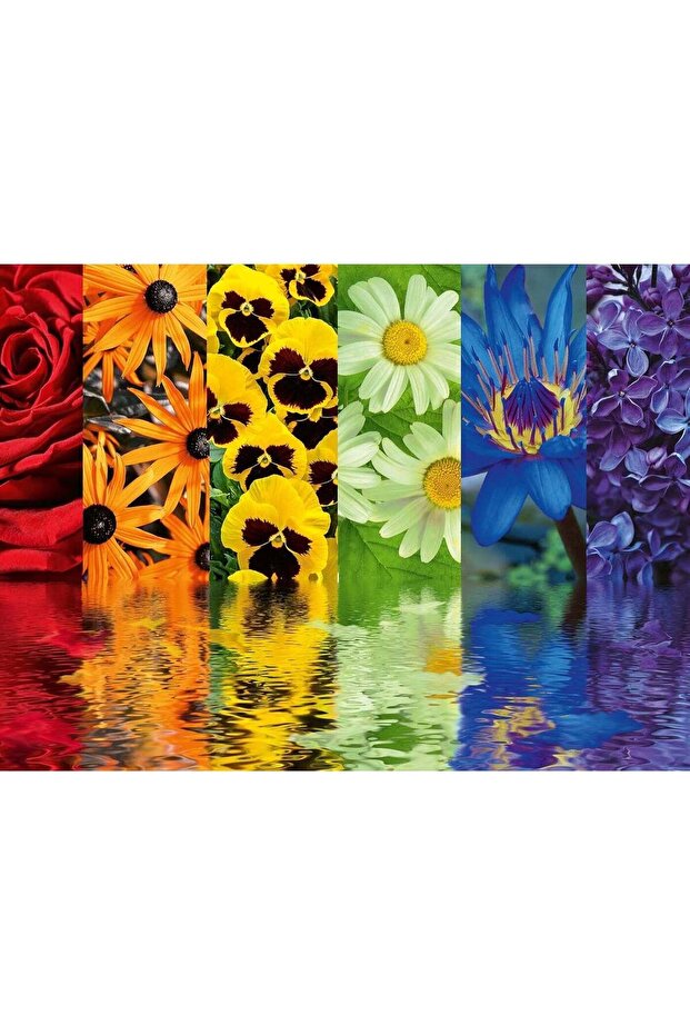 Ravensburger Floral Reflections 500 Piece Jigsaw Puzzle – Premium Quality Puzzle for Adults and T