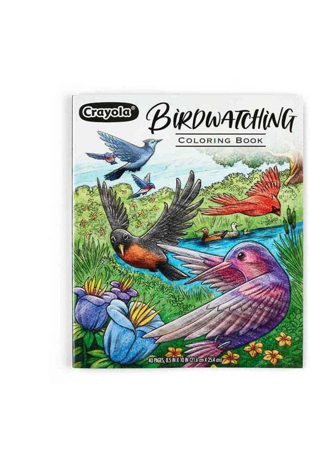 40-Page Coloring Book, Bird Watching