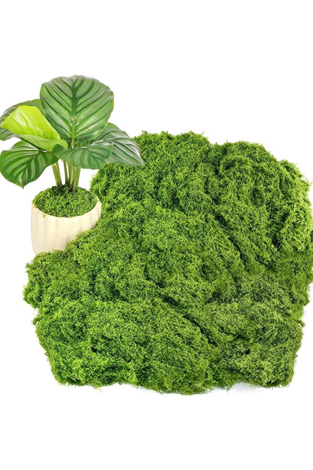 Fake Green Moss,Simulation Moss - Artificial Moss for Plants Indoor Faux Grass for Planters Fake Gr