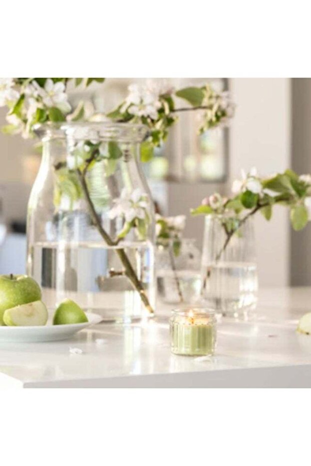 LÖVSKOGSLUND Scented candle in glass, Apple/light green, 12 hr