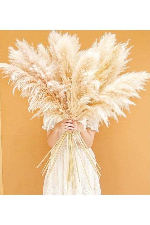 LATIFA Flowers set of 3 Dried Pampas Decor Tall
