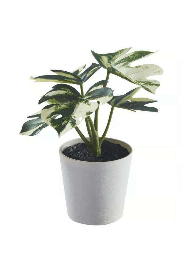 Artificial Monstera Plant in Pot – Desk or Shelf Decor, Indoor & Outdoor 6 cm