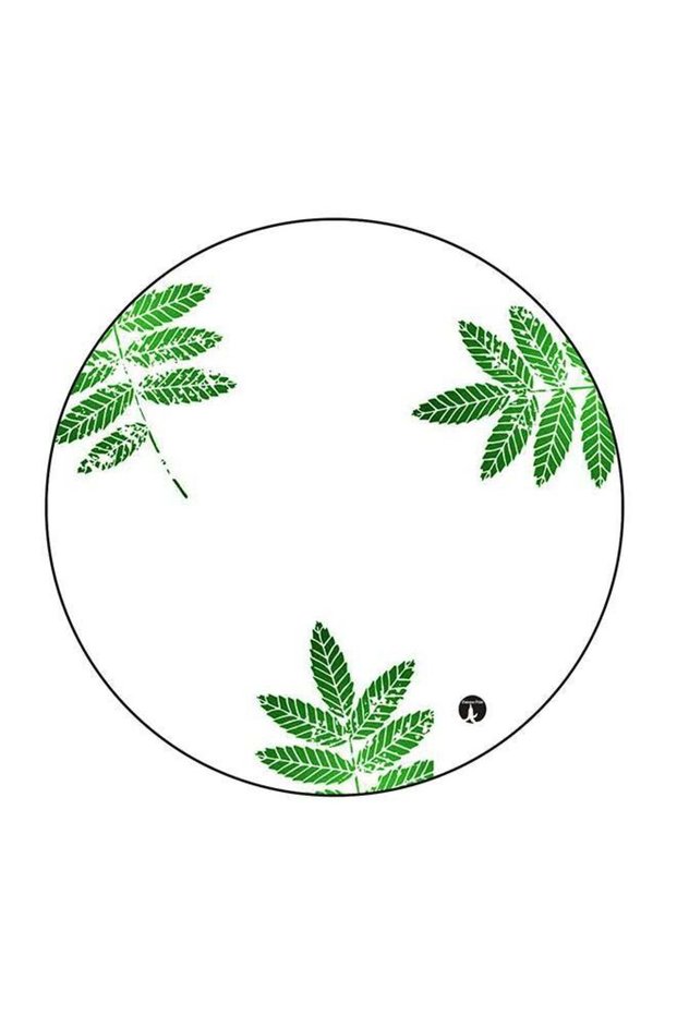 Leaves Printed Fridge Magnet Green/White 5.5 x 5.5cm