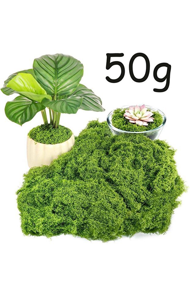 50g Moss Grass Perfectly Simulates Artificial Moss Fake Green Grass for Centerpieces Home Kitchen G