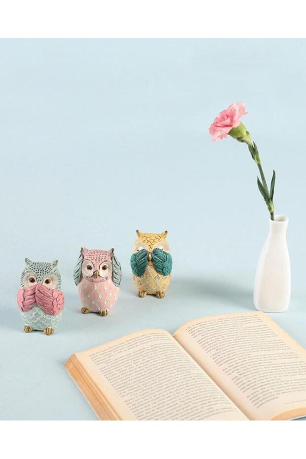 Wise Owls Decor Set