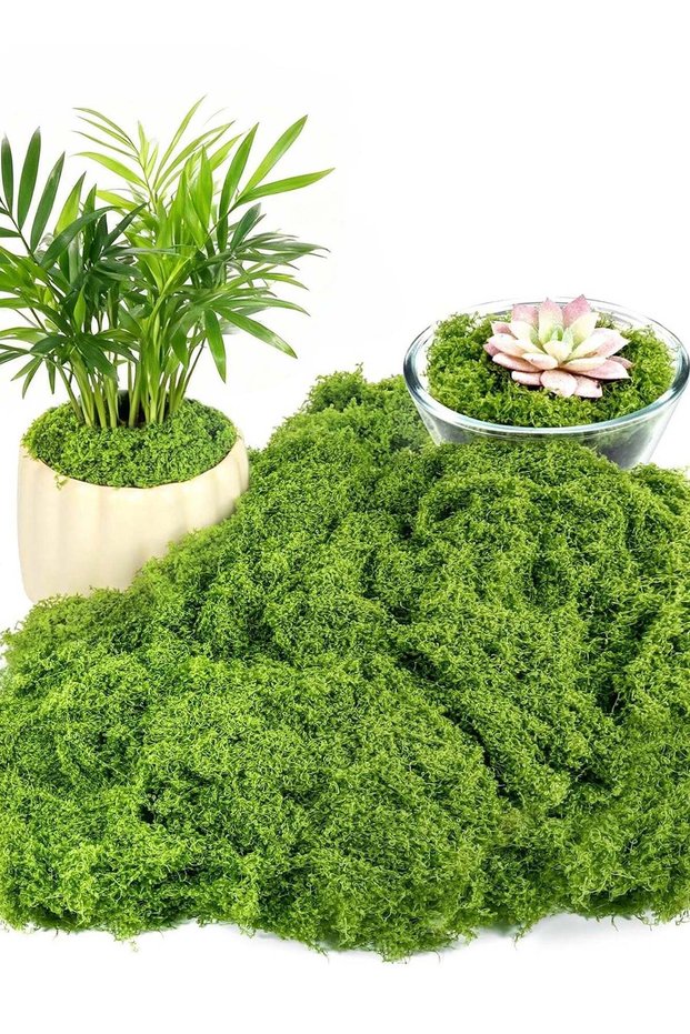 200g Fake Moss for Plants Indoor,Fake Moss for Crafts Preserved for DIY Decorative mossTable Center