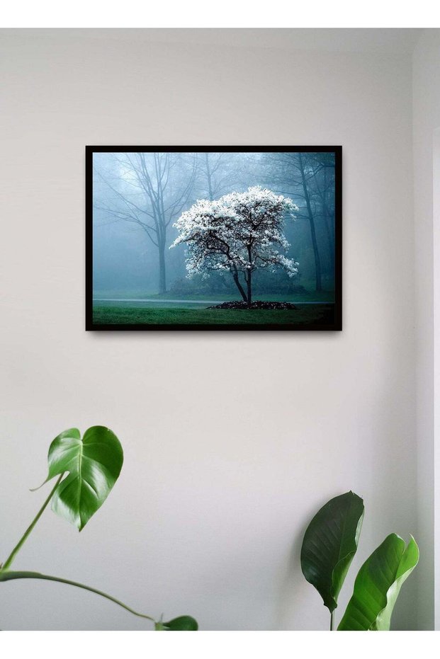 Wall Posters with White Tree in the Forest Picture and Black Frame - Wall Arts Home Décor Photo Fra